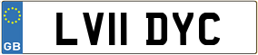 Truck License Plate